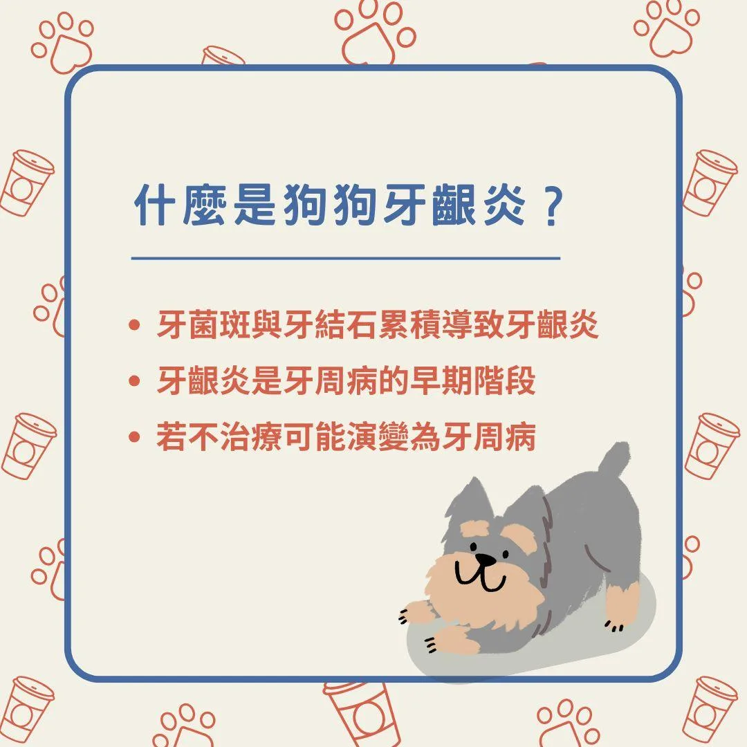 說明什麼是狗狗牙齦炎？