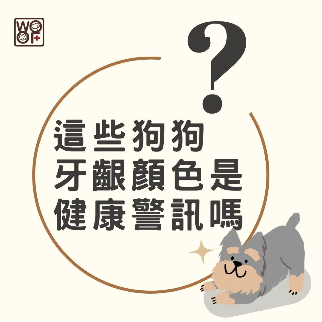 這些狗狗牙齦顏色是健康警訊嗎