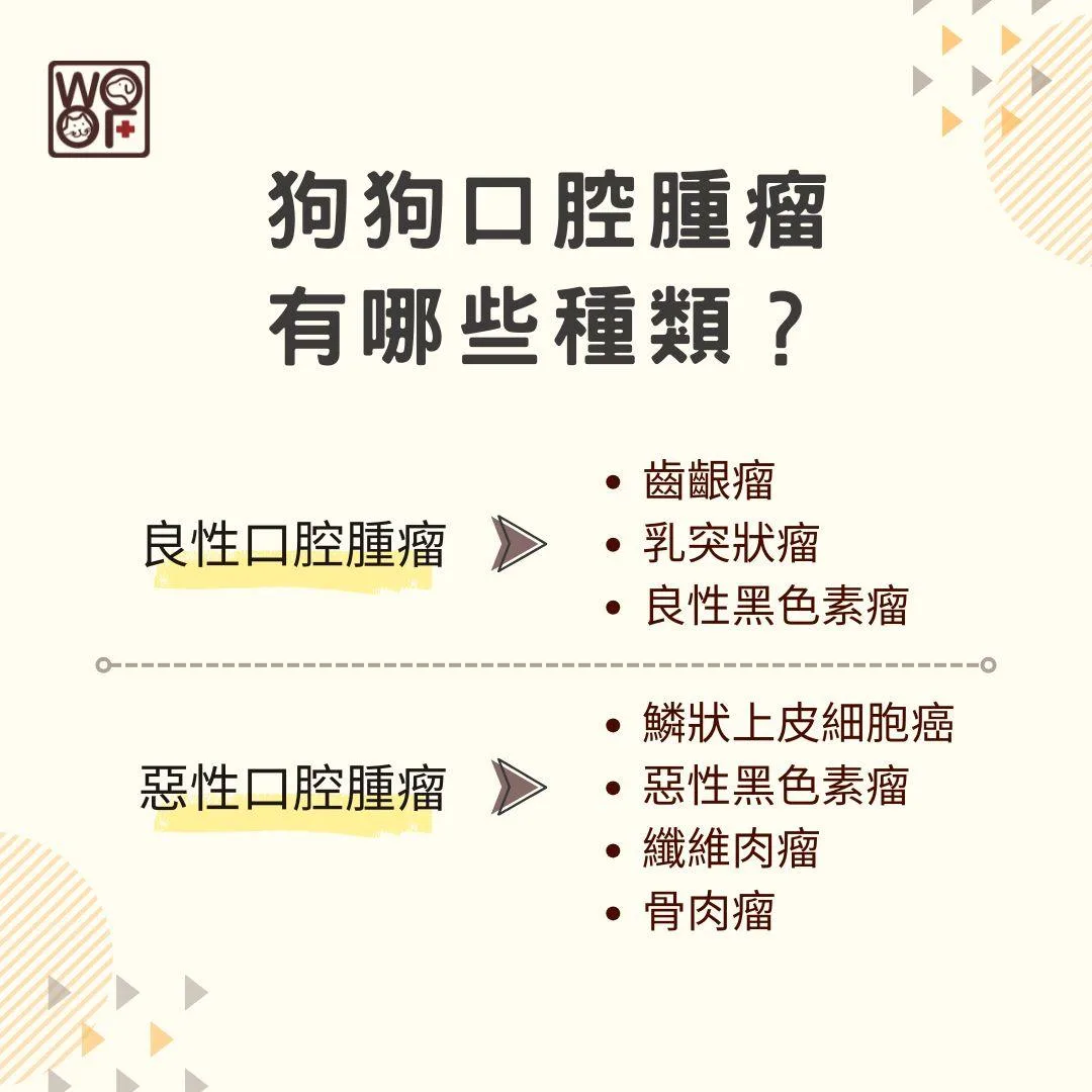 說明狗狗口腔腫瘤有哪些種類？