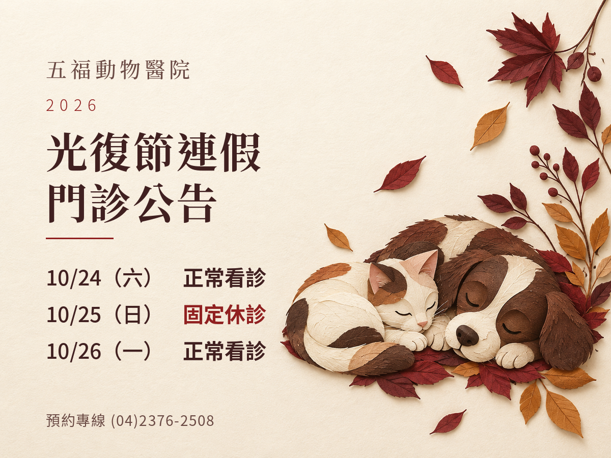 五福動物醫院｜2026光復節門診公告
