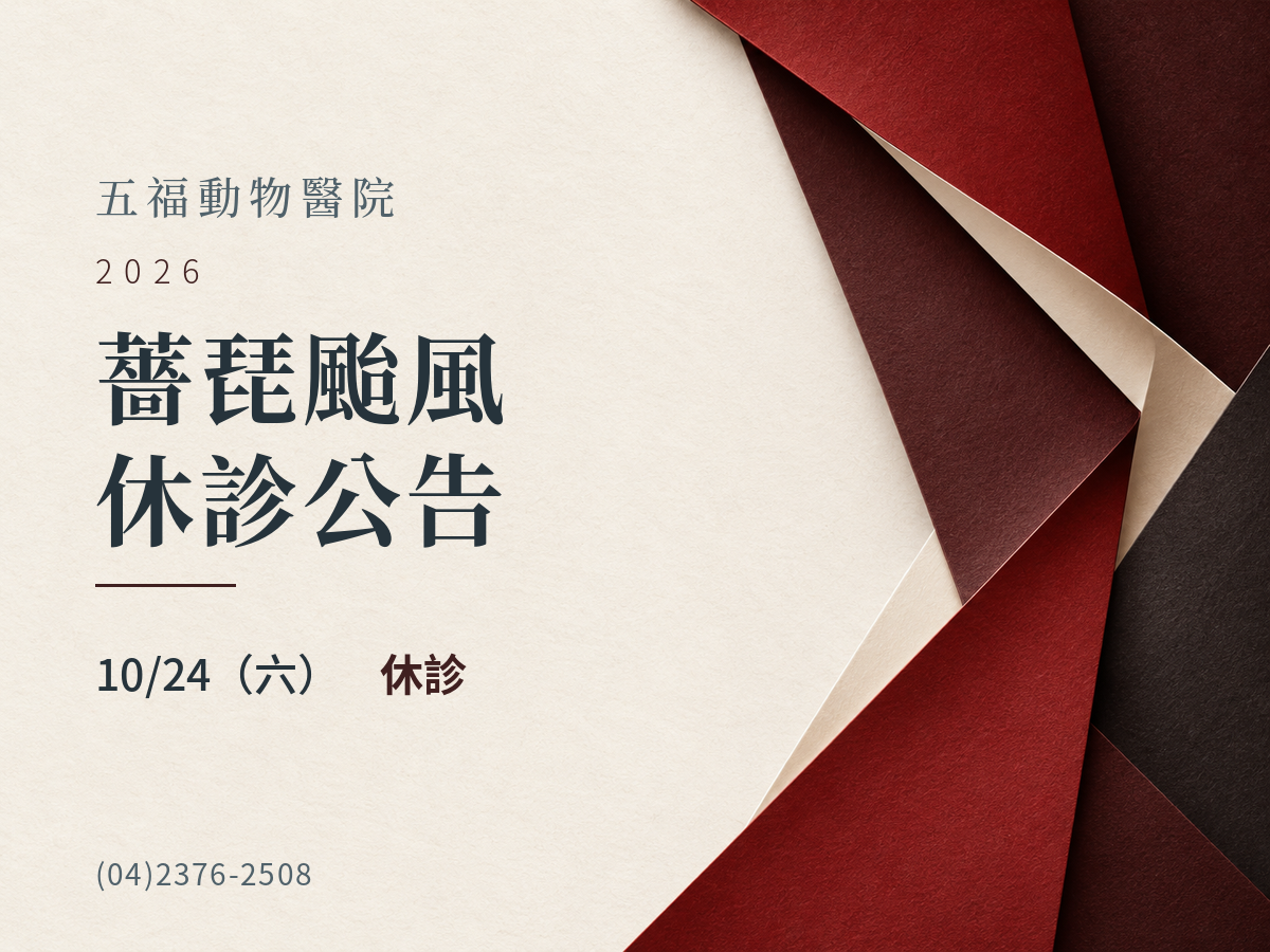 五福動物醫院｜薔琵颱風 10/24 休診公告