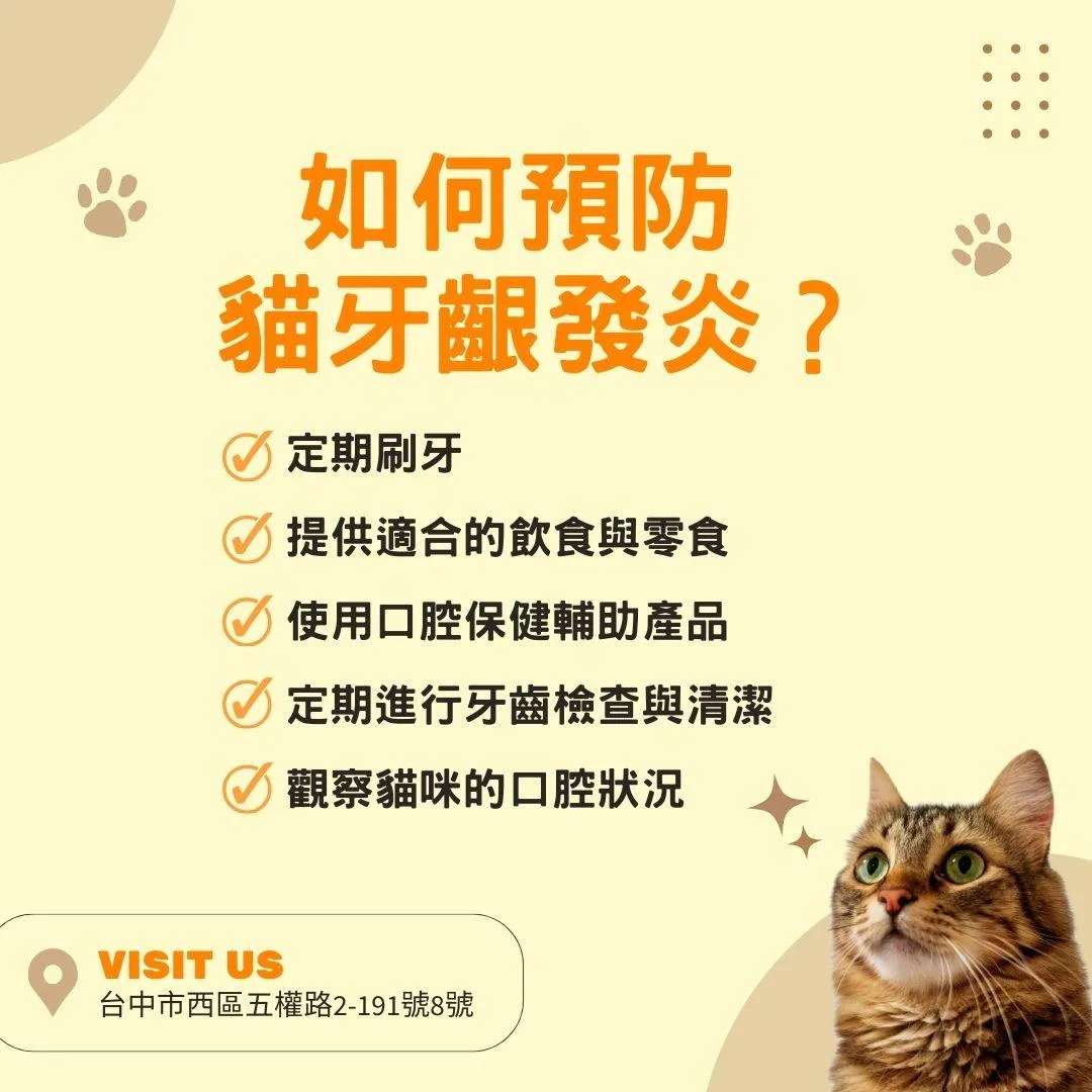 說明如何預防貓牙齦發炎？