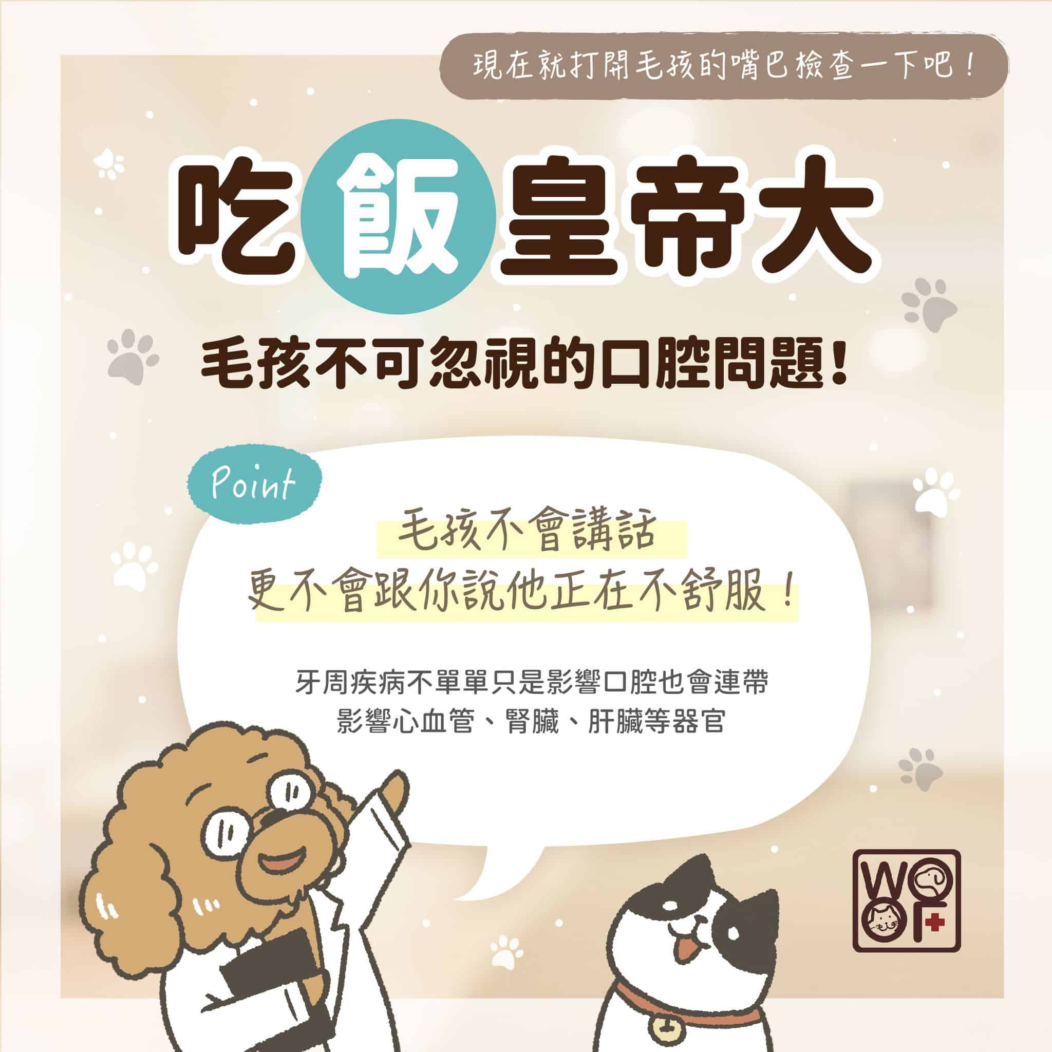 家中貓狗不吃飯？那些你該知道的犬貓牙周檢查細節