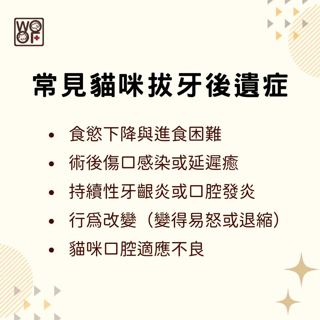 說明常見貓咪拔牙後遺症