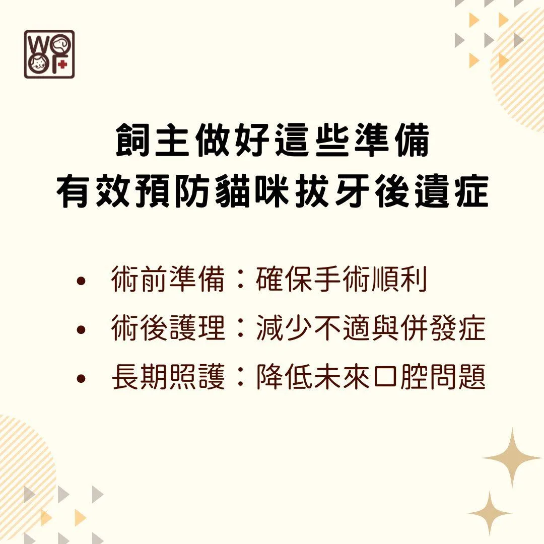 說明飼主做好這些準備可以有效預防貓咪拔牙後遺症