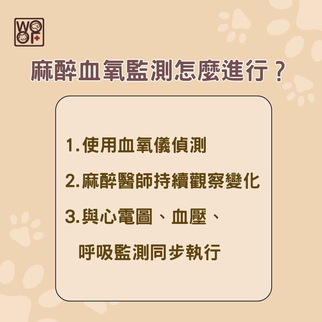 麻醉血氧監測怎麼進行？