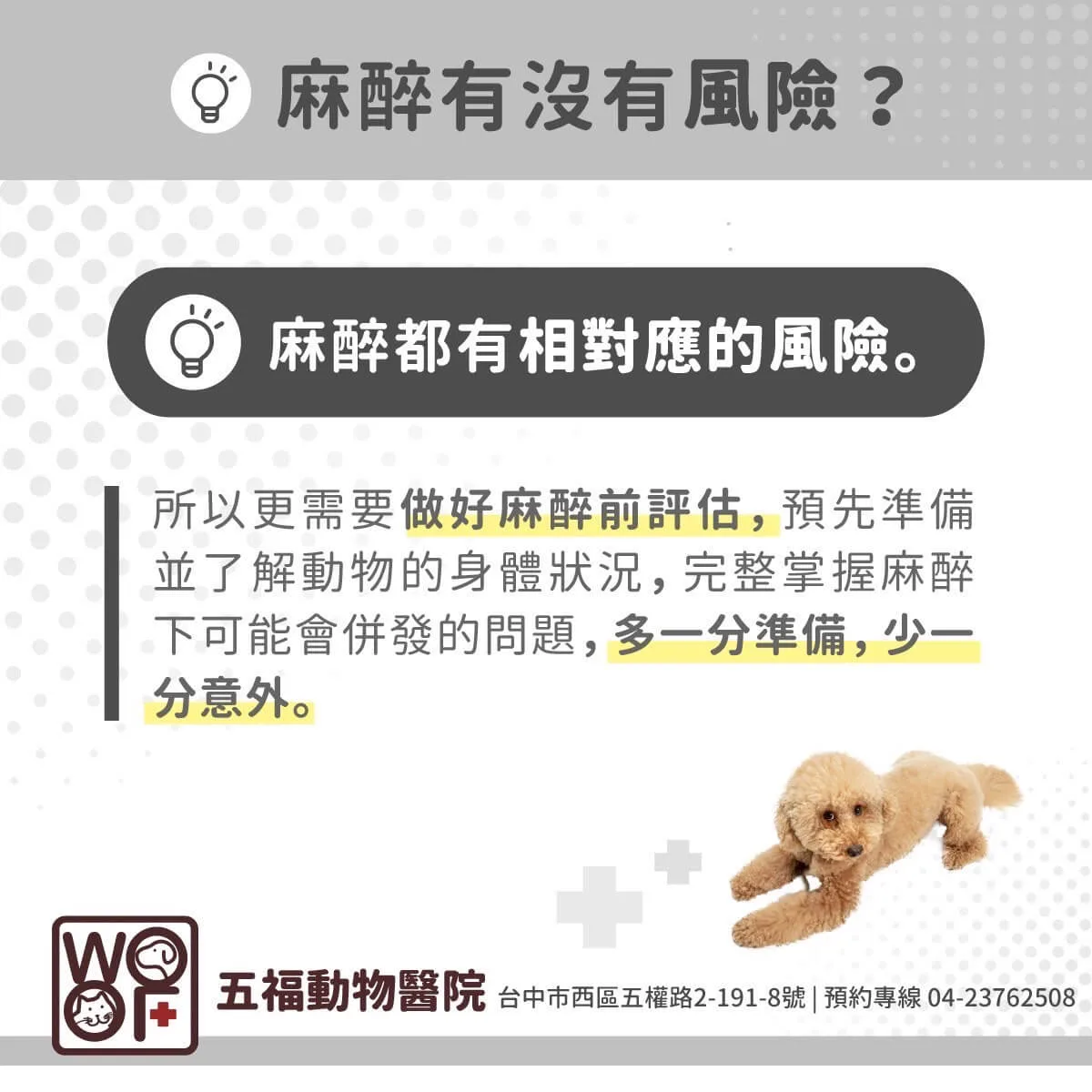 狗狗牙周病拔牙的標準是什麼?這樣的牙齒千萬不能留! 10 狗狗拔牙麻醉會有風險,所以一定要做好完全的麻醉評估