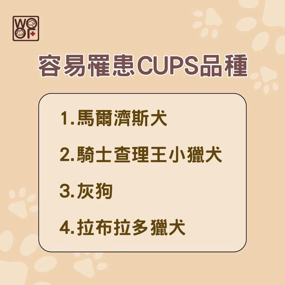 容易罹患CUPS品種
