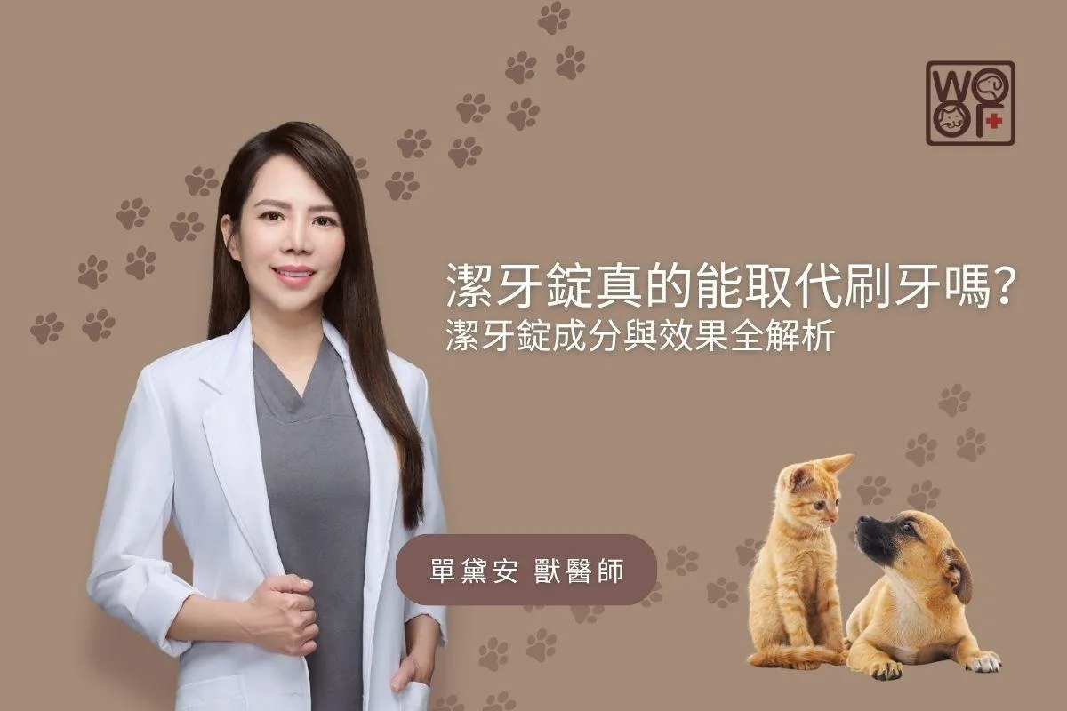 潔牙錠真的能取代刷牙嗎？潔牙錠成分與效果全解析
