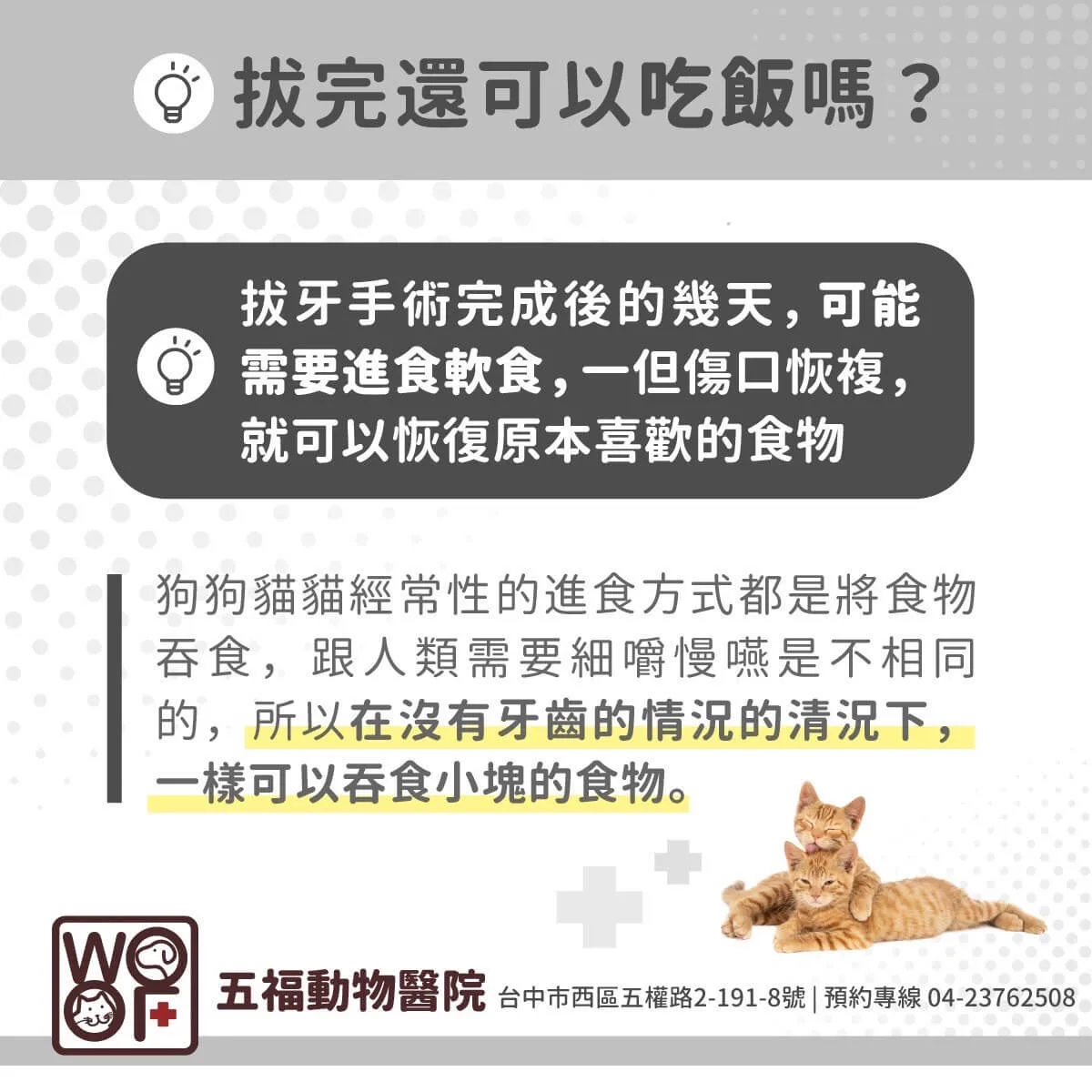 狗狗牙周病拔牙的標準是什麼?這樣的牙齒千萬不能留! 11 狗狗是用吞食方式進食,所以狗拔牙完一樣可以吃飯
