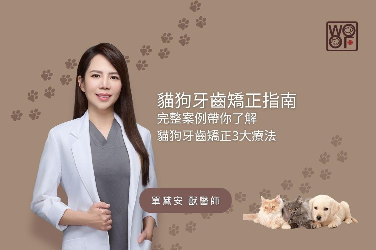 貓狗牙齒矯正指南，完整案例帶你了解，讓貓狗牙齒矯正3大療法