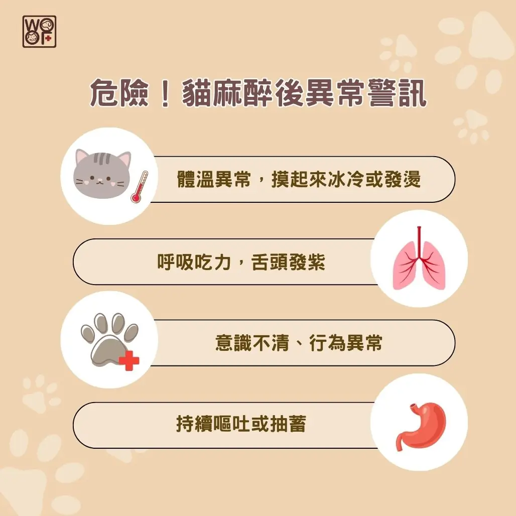 貓麻醉危險警訊
