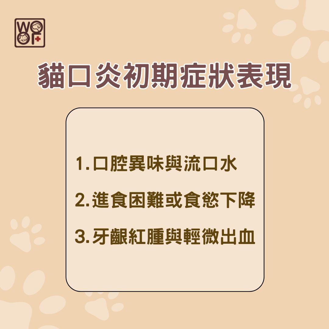 貓口炎初期症狀表現