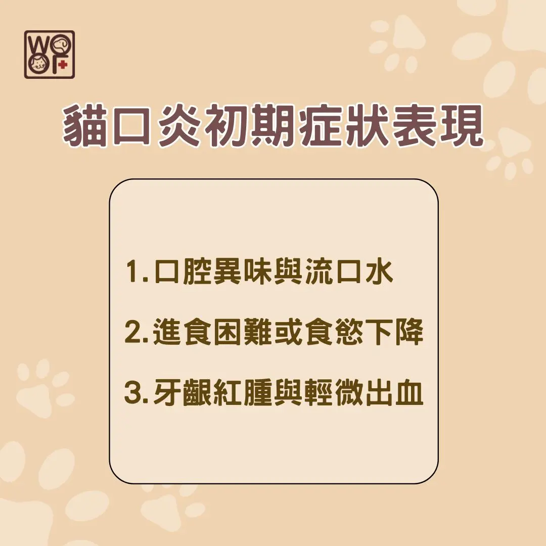貓口炎初期症狀表現