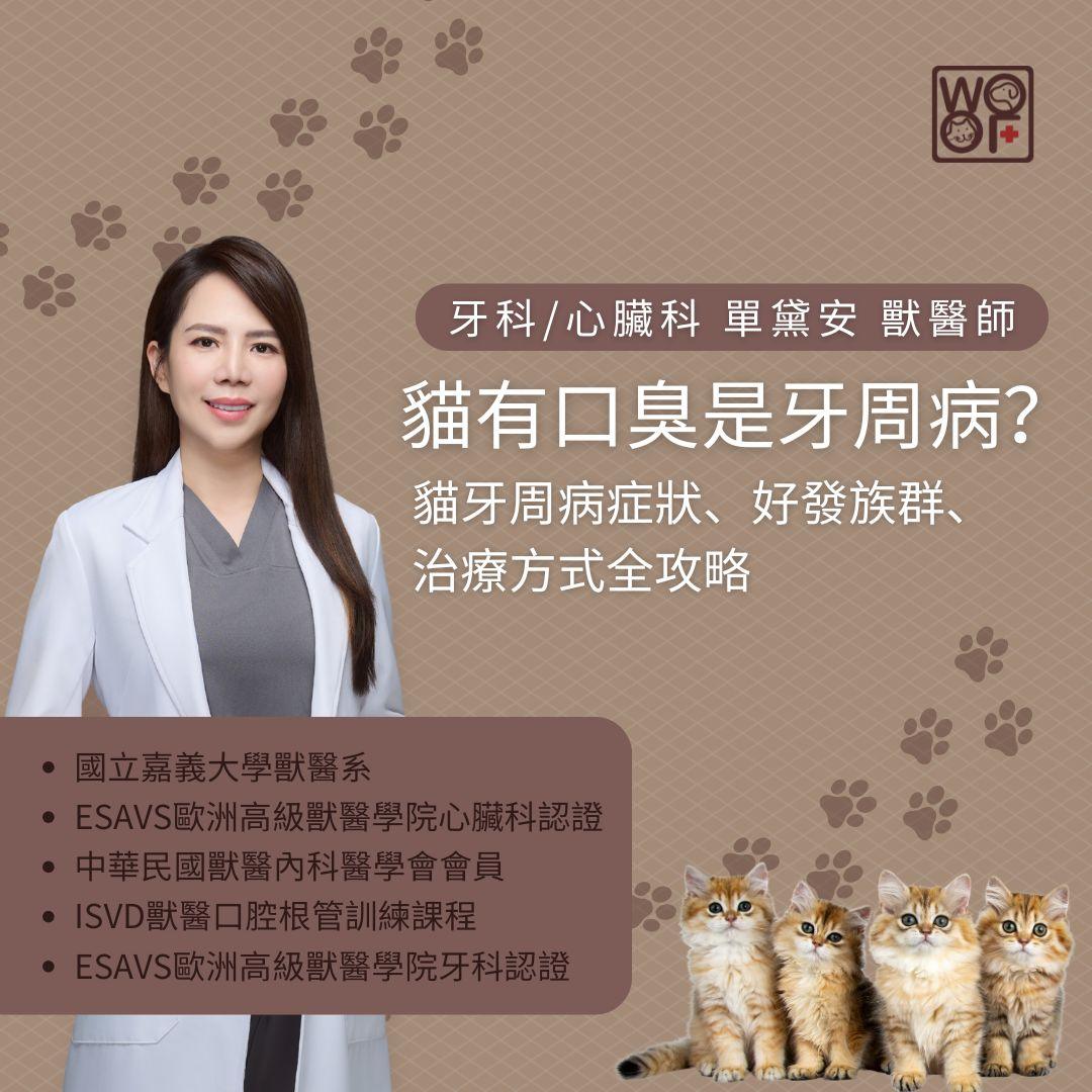 貓有口臭是牙周病？貓牙周病症狀、好發族群、治療方式全攻略