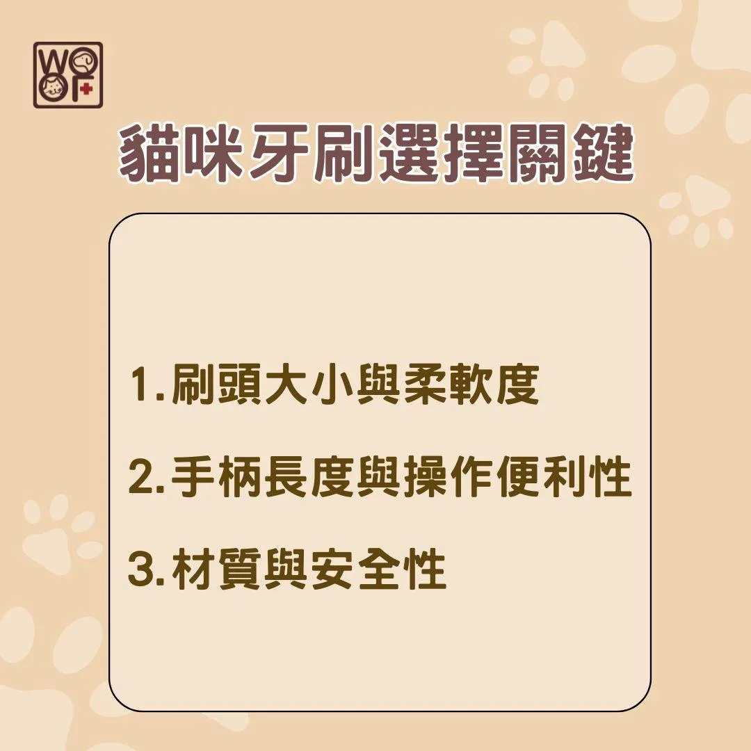 貓咪牙刷選擇關鍵