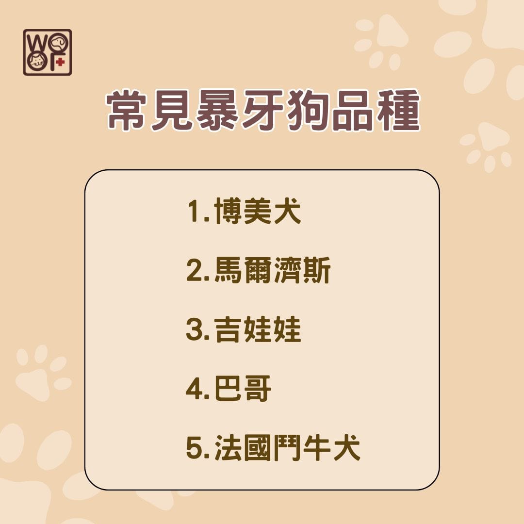 常見暴牙狗品種