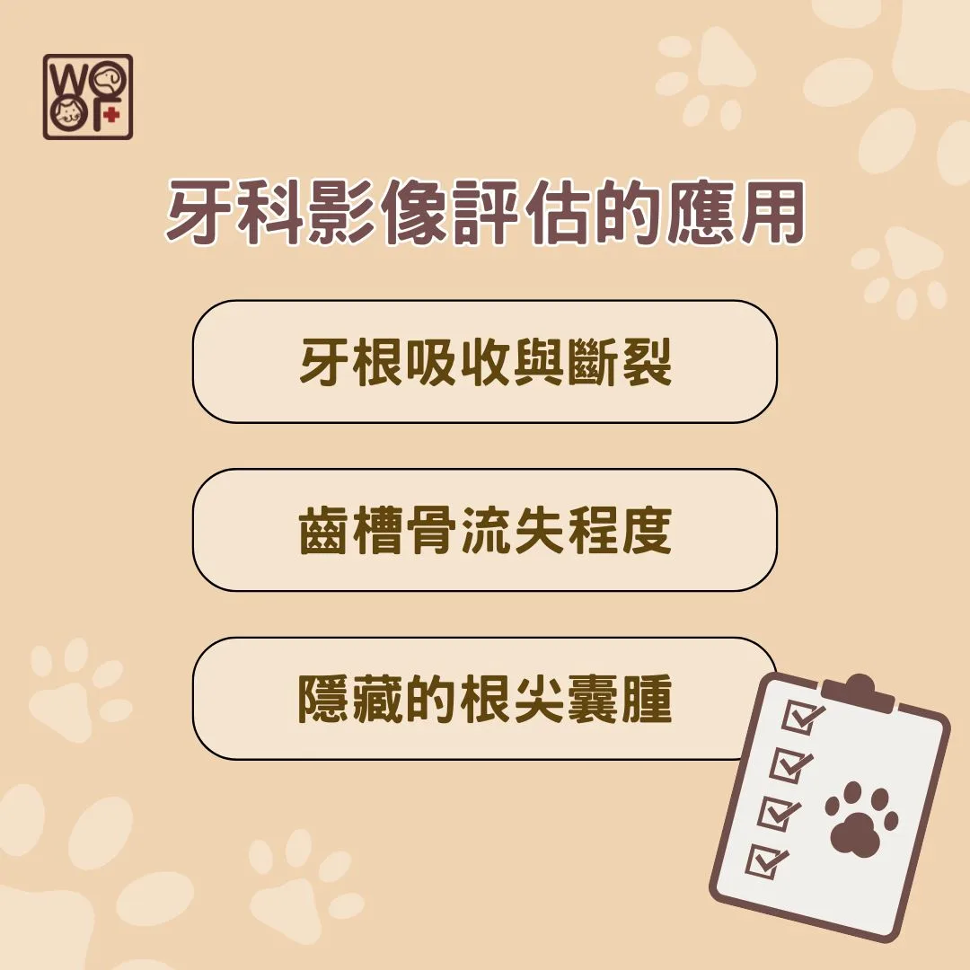 牙科影像評估的應用