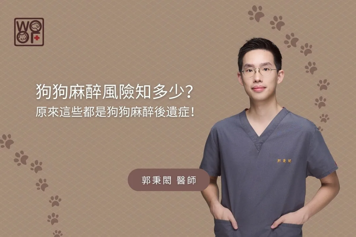 狗狗麻醉風險知多少？原來這些都是狗狗麻醉後遺症！