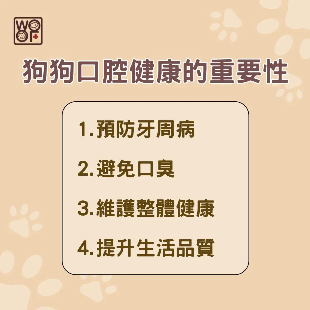 狗狗口腔健康的重要性