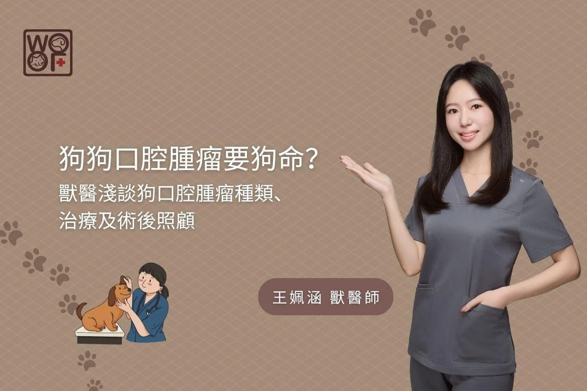 狗狗口腔腫瘤要狗命？ 獸醫淺談狗口腔腫瘤種類、治療及術後照顧