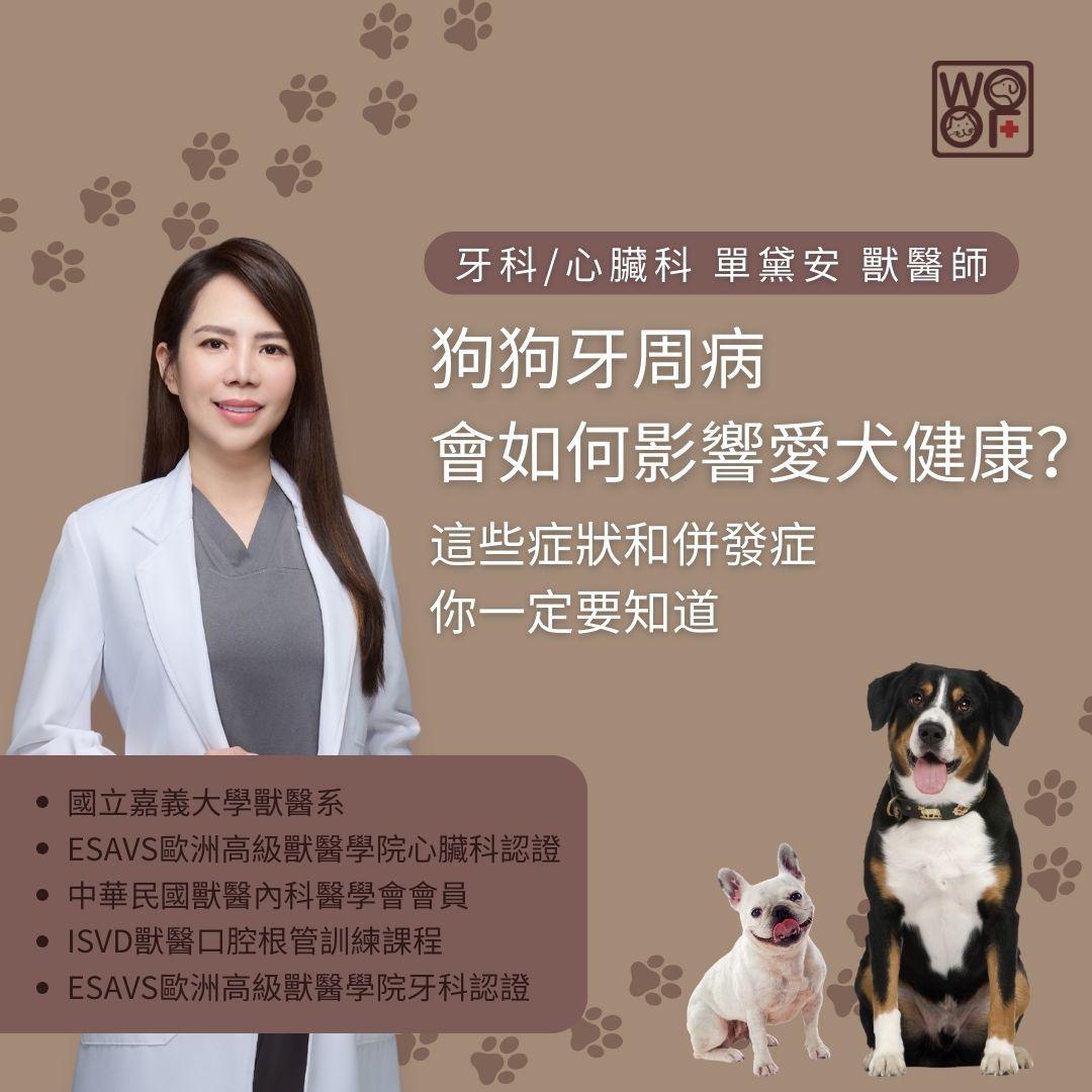 狗狗牙周病會如何影響愛犬健康？這些症狀和併發症你一定要知道