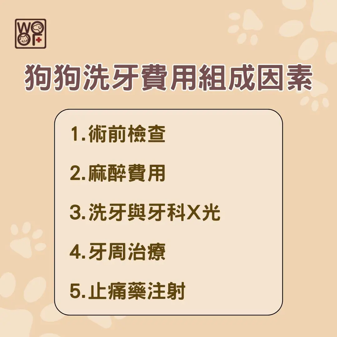 狗狗洗牙費用組成因素