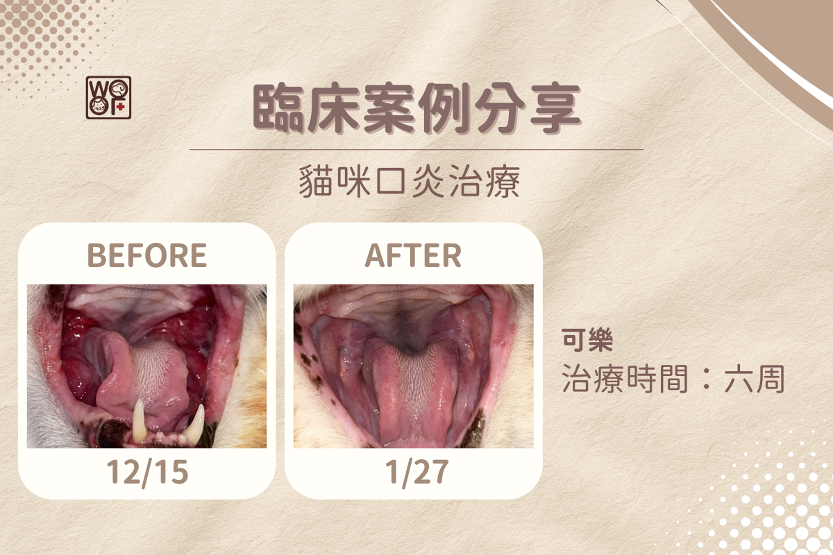 dog underbite 1 2 1