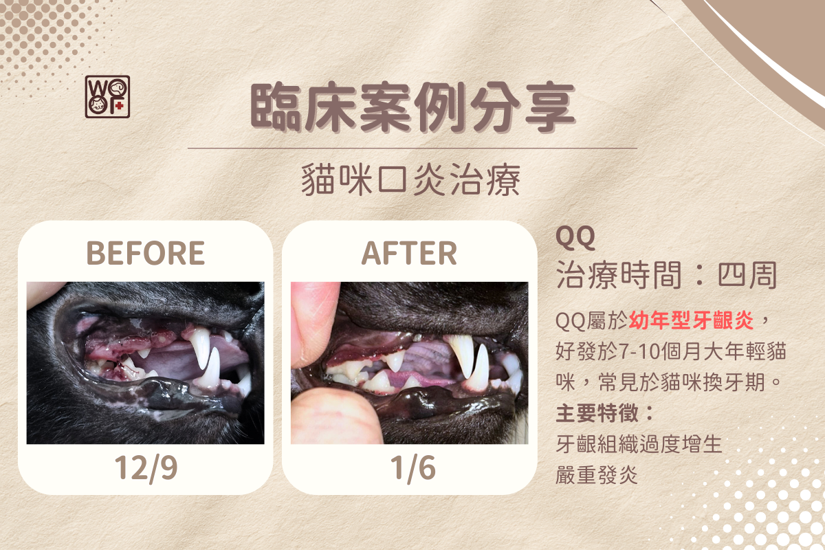 dog underbite 1 5