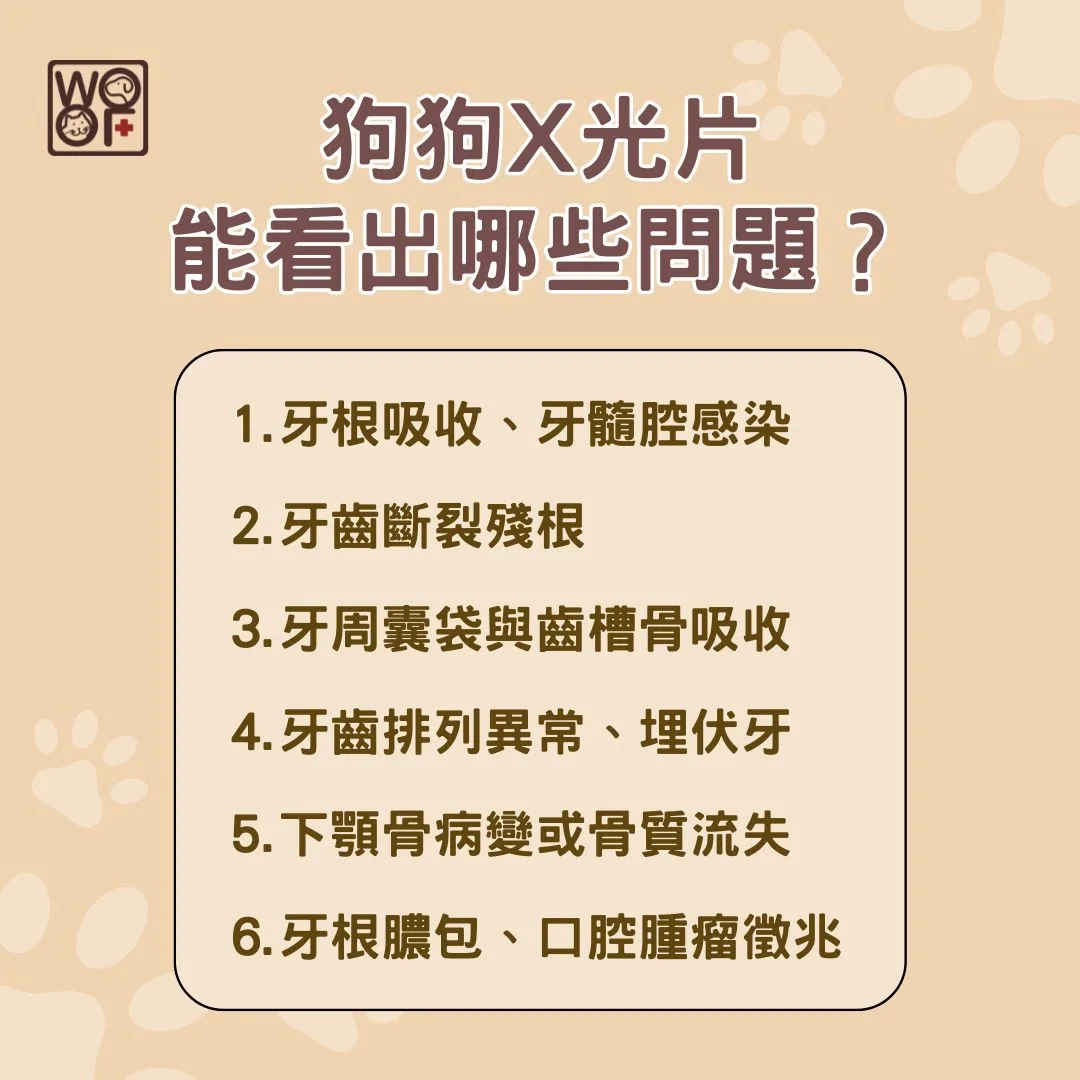 狗狗X光片能看出哪些問題？