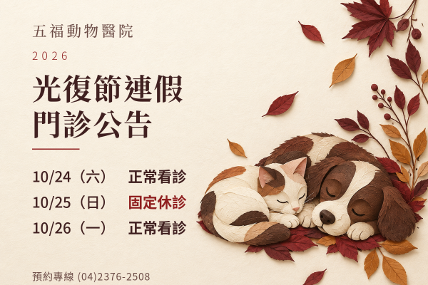五福動物醫院｜2026光復節門診公告
