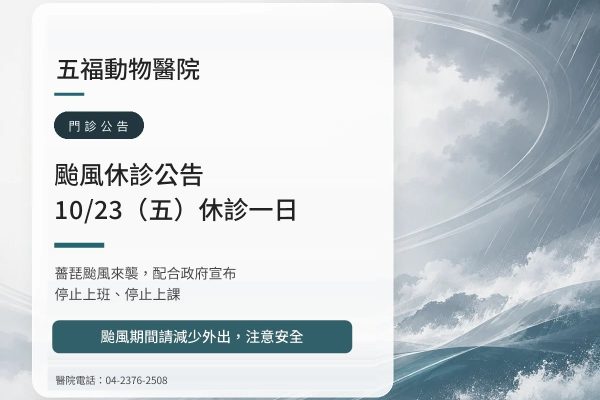 五福動物醫院｜薔琵颱風 10/23（五）休診公告