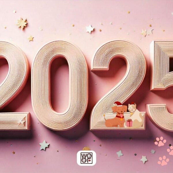 五福動物醫院祝您2025元旦快樂