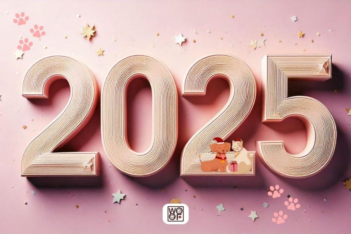 五福動物醫院祝您2025元旦快樂