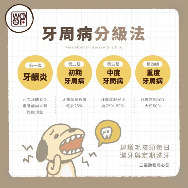 犬貓牙周病種類有哪些？帶你了解犬貓牙周病臨床分級
