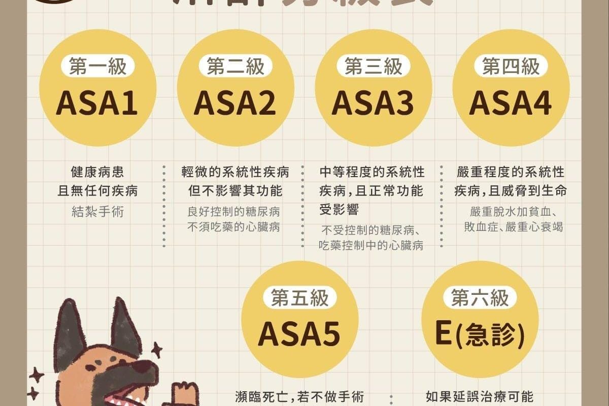 寵物麻醉分級表