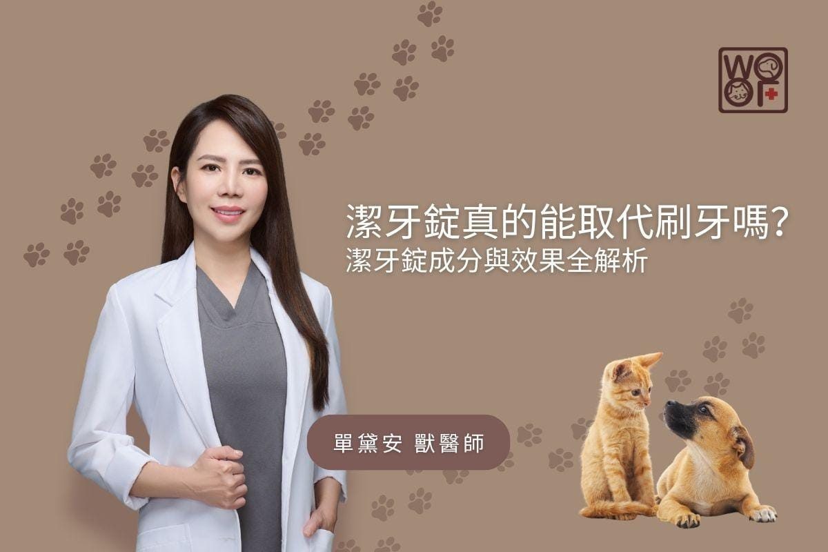 潔牙錠真的能取代刷牙嗎？潔牙錠成分與效果全解析