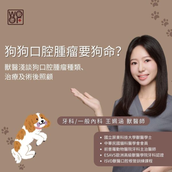 狗狗口腔腫瘤要狗命？獸醫淺談狗口腔腫瘤種類、治療及術後照顧