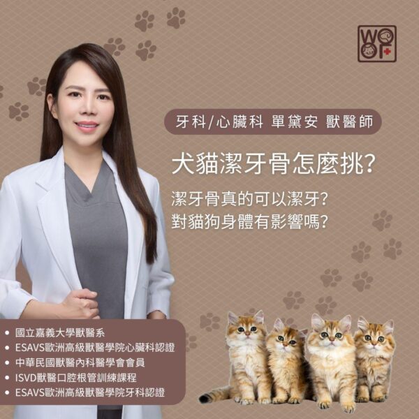 犬貓潔牙骨怎麼挑？潔牙骨真的可以潔牙？對貓狗身體有影響嗎？