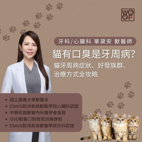 貓有口臭是牙周病？貓牙周病症狀、好發族群、治療方式全攻略