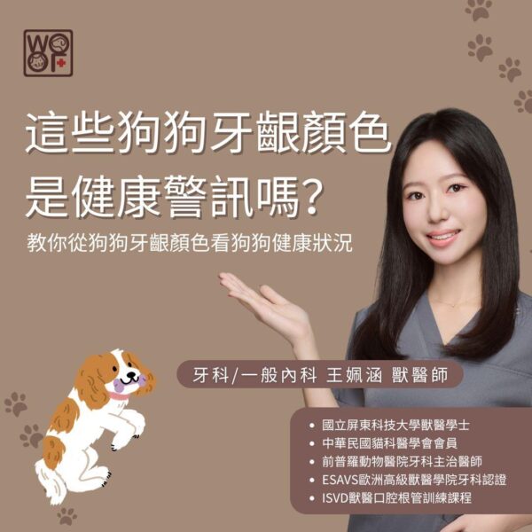 這些狗狗牙齦顏色是健康警訊嗎？教你從狗狗牙齦顏色看狗狗健康狀況