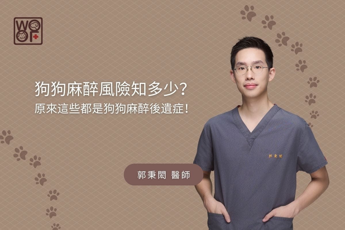 狗狗麻醉風險知多少？原來這些都是狗狗麻醉後遺症！