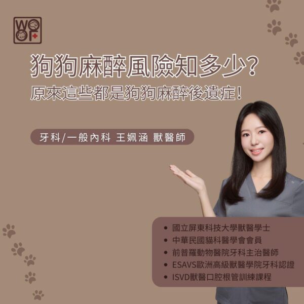 狗狗麻醉風險知多少？原來這些都是狗狗麻醉後遺症！