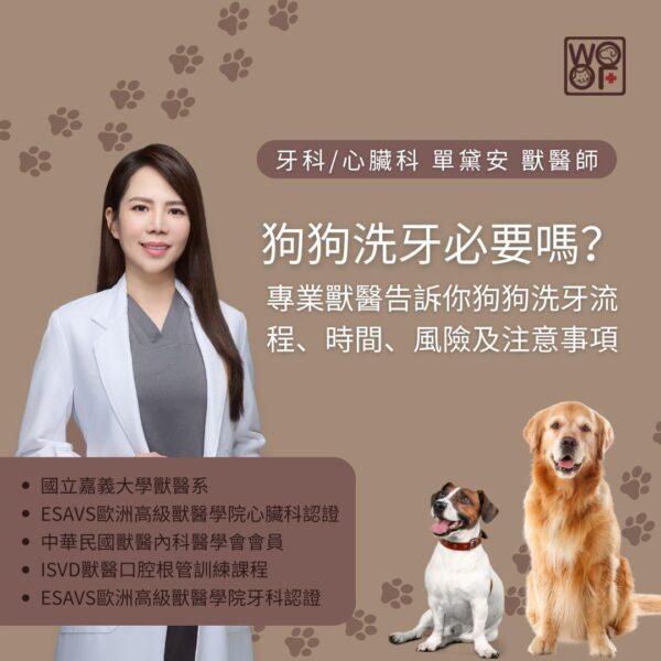 狗狗洗牙必要嗎？專業獸醫告訴你狗狗洗牙流程、時間、風險及注意事項