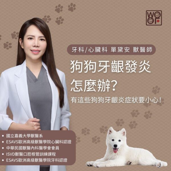 狗狗牙齦發炎怎麼辦？有這些狗狗牙齦炎症狀要小心！