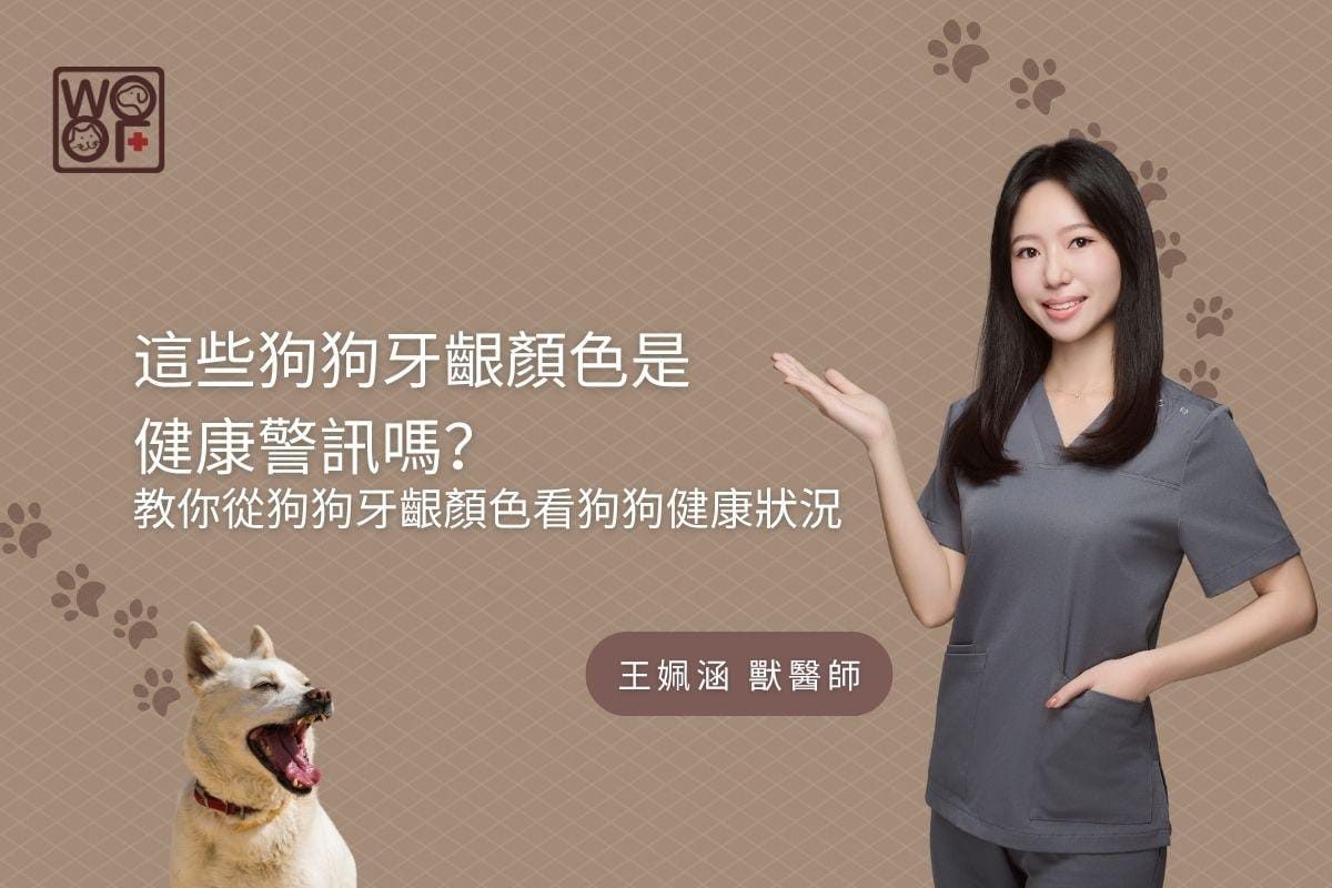 這些狗狗牙齦顏色是健康警訊嗎？ 教你從狗狗牙齦顏色看狗狗健康狀況