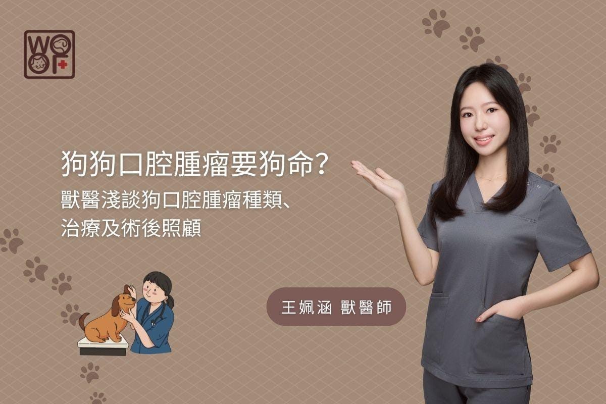 狗狗口腔腫瘤要狗命？ 獸醫淺談狗口腔腫瘤種類、治療及術後照顧