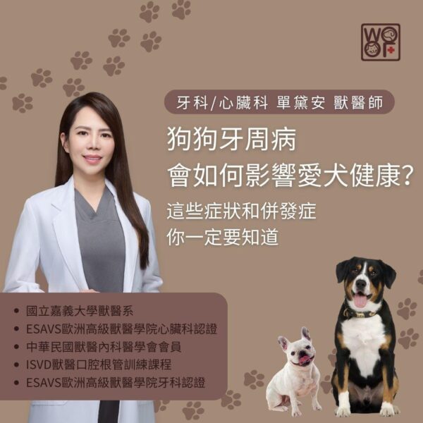 狗狗牙周病會如何影響愛犬健康？這些症狀和併發症你一定要知道