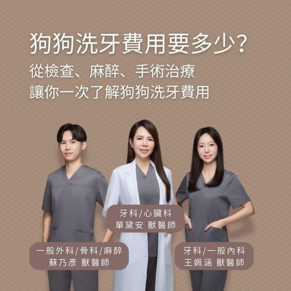 狗狗洗牙費用要多少？從檢查、麻醉、手術治療讓你一次了解狗狗洗牙費用