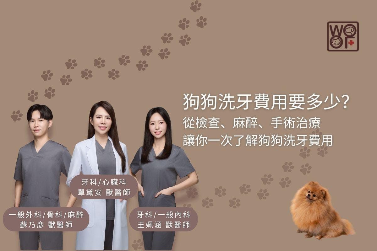 狗狗洗牙費用要多少？從檢查、麻醉、手術治療讓你一次瞭解狗狗洗牙費用